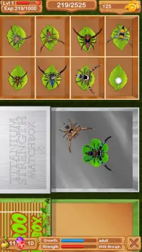 Fighting Spiders Screen Shot 0