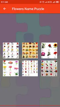 Flowers Name Puzzle Screen Shot 3