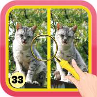 🔎Find Spot The Difference #33 🔎