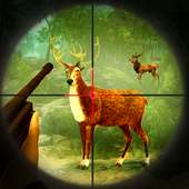 Deer Hunting-Addictive Sniper Shooting games