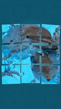 Dolphins Jigsaw Puzzle Screen Shot 0