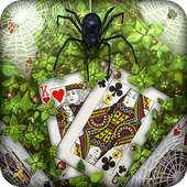 Spider: Solitaire Card Game ♣
