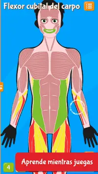 Anatomix - El Cuerpo Humano Screen Shot 1