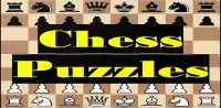 Chess Puzzles Screen Shot 12