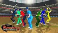 Real World Cricket League 19:  Screen Shot 3