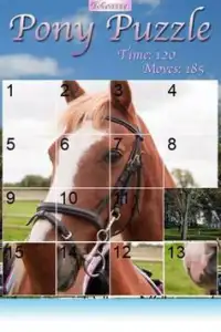 Pony Puzzle Screen Shot 0