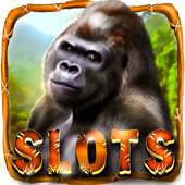 Wild Gorilla Free Slots