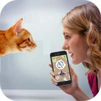 Cat Language Translator - Meow