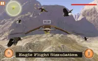 독수리 새 시뮬레이터 비행 Screen Shot 4