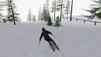 Alpine Ski III Screen Shot 7