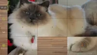 Juegos Gratis de Rompecabezas de Gatos Screen Shot 3