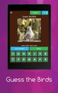 Birds guess Screen Shot 8