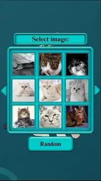 Cat Puzzle 2016 Screen Shot 2