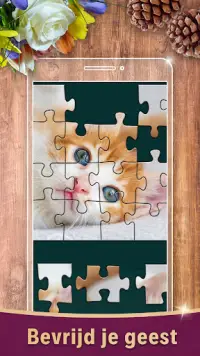 Jigsaw Puzzels Meester NFT Screen Shot 0