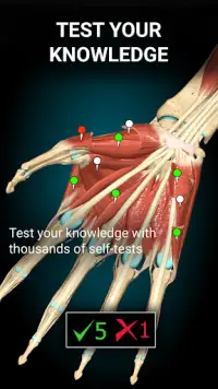 Anatomy Learning - 3D Atlas Screen Shot 4