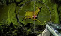 Sniper Deer Hunting 2015 Screen Shot 2