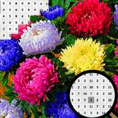 Aster Flowers Color By Number-Pixel Art 2020