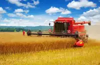 Wheat combine harvester Jigsaw Screen Shot 2