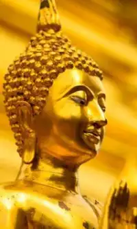 الألغاز البوذية البوذية Screen Shot 1