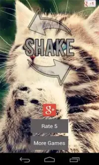 Kucing Kitty Suara Suara Screen Shot 0