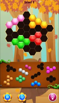 Beaver Hexa Puzzle Game Screen Shot 4