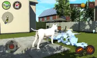Simulador de perro Bull Terier Screen Shot 2