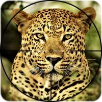 Big Cats Hunting: Wild Cheetah Hunter Survival