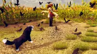 cão Cidade simulador : meu animal Fazenda Cidade Screen Shot 3