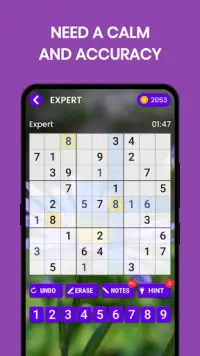Sudoku Fun - Free Number Puzzle Sudoku Killer Screen Shot 3