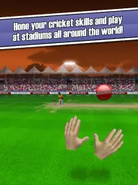 New Star: Cricket Screen Shot 9