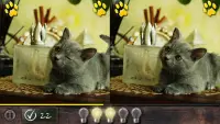 Cat! Spot the difference & Puzzle2 Screen Shot 1