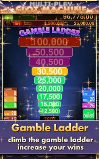 Multi Play Slot Machine Screen Shot 5