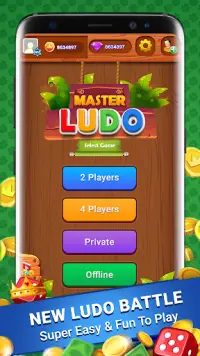 Ludo Game: Multiplayer Dice Bo Screen Shot 4