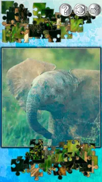 Puzzles Tiere - Puzzle Screen Shot 5