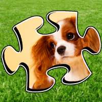 Puppy Jigsaw Puzzles - Zillion Jigsaws