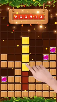 Block Adventure – Woody Sudoku Block Puzzle Games Screen Shot 5