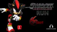 Shadow The Hedgehog Run Screen Shot 0