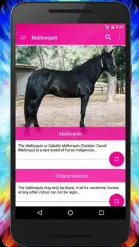 The Horses Quiz   Guide. Screen Shot 5