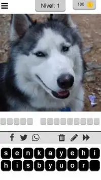 Perros - Quiz acerca de todas las razas populares Screen Shot 0