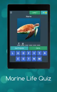 Marine Life Quiz Screen Shot 10