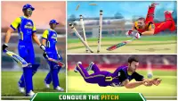 Pakistan Cricket League Game Screen Shot 2