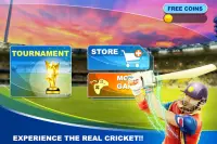 World Cricket 2017 Screen Shot 0