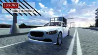 Luxury Car Parking Simulator Screen Shot 0