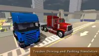 Euro Cargo Truck Driver Sim 17 Screen Shot 0