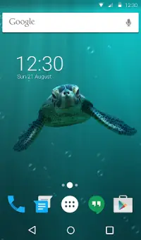 Cute Turtle Animated Keyboard + Live Wallpaper Screen Shot 5