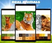 Animals Color by Number: Animal Pixel Art Screen Shot 5