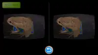 AR 포켓몬 카드 - 프리미엄 챔피언팩 Screen Shot 2