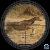 Sniper Deer Hunter 3D