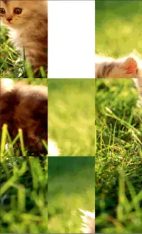 kitty Puzzle Screen Shot 1