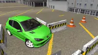 206 Driving Simulator Screen Shot 3